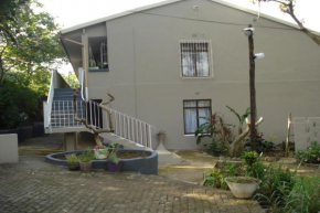 Mare Vista 8
